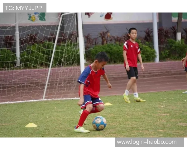 顺德青苗足球培训助力青少年成长培养足球人才成就未来梦想